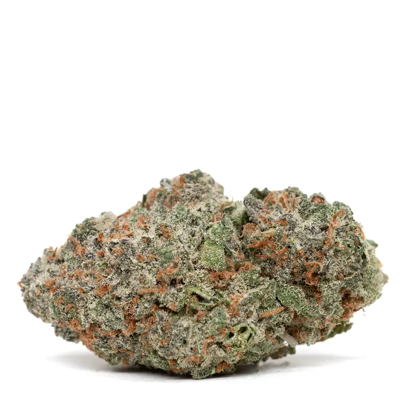 Blueberry-Muffin-strain-1.webp Buy Blueberry Muffin Strain Online