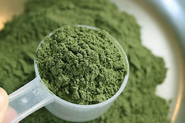Buy-Mescaline-Powder.jpg