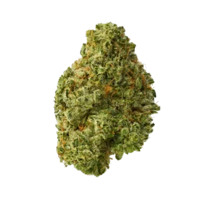 Buy Dark Rainbow Online