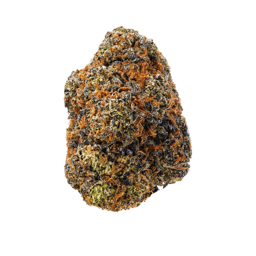 Gushers_transparent.webp Buy Gushers Online