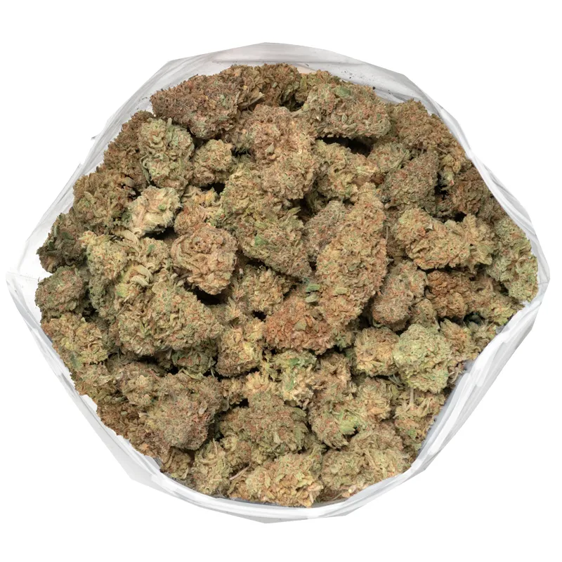large-cluster-of-orange-cookies-buds-1.webp Buy Orange Cookies Weed Strain Online