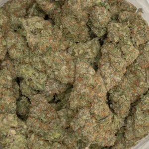 Buy Sherb Cream Pie Hybrid Online